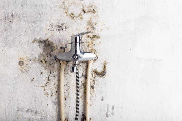 Best Mold Testing and Inspection Services in Sonora, CA